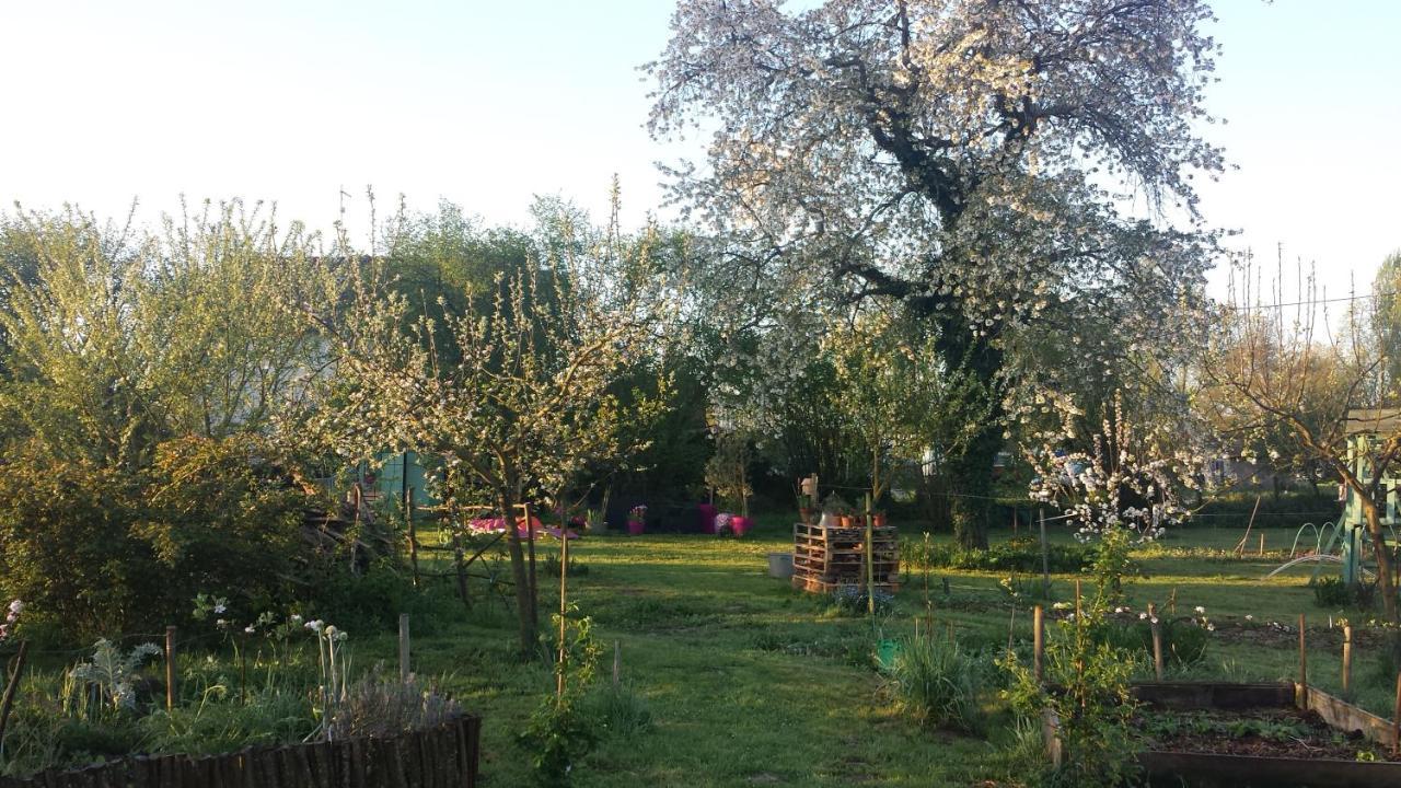 Chambre D'Hotes A La Campagne Nevers Challuy Екстер'єр фото